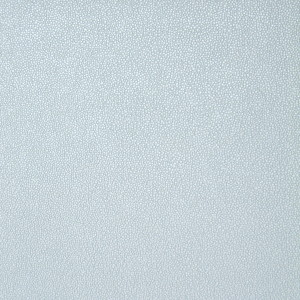 RPY 1004-2
