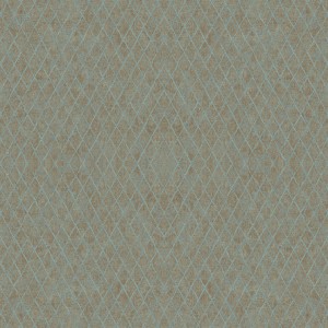 35439_Aura