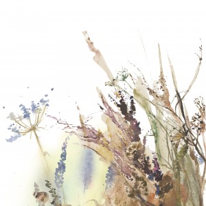 35797_Boho