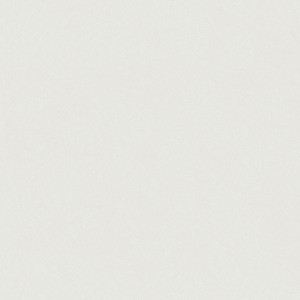 36351_Bloom