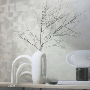 36351_room
