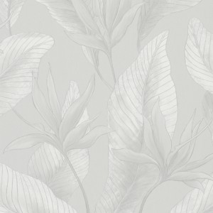36363_Bloom