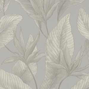36364_Bloom