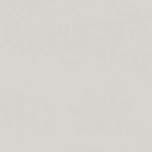 36367_Bloom