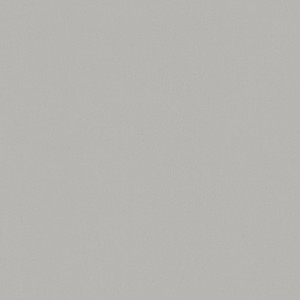 36369_Bloom