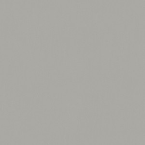 36370_Bloom