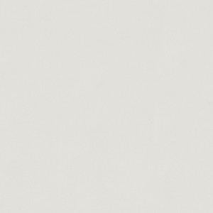 36371_Bloom