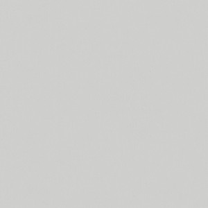 36374_Bloom