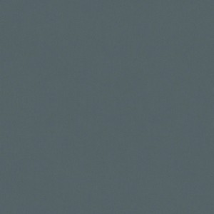 36380_Bloom