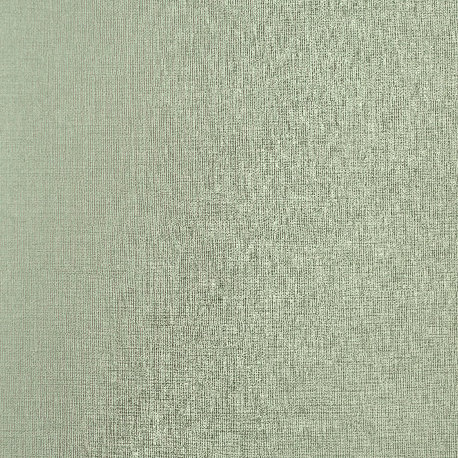 54461-3_Palmaria 54461-3_Palmaria