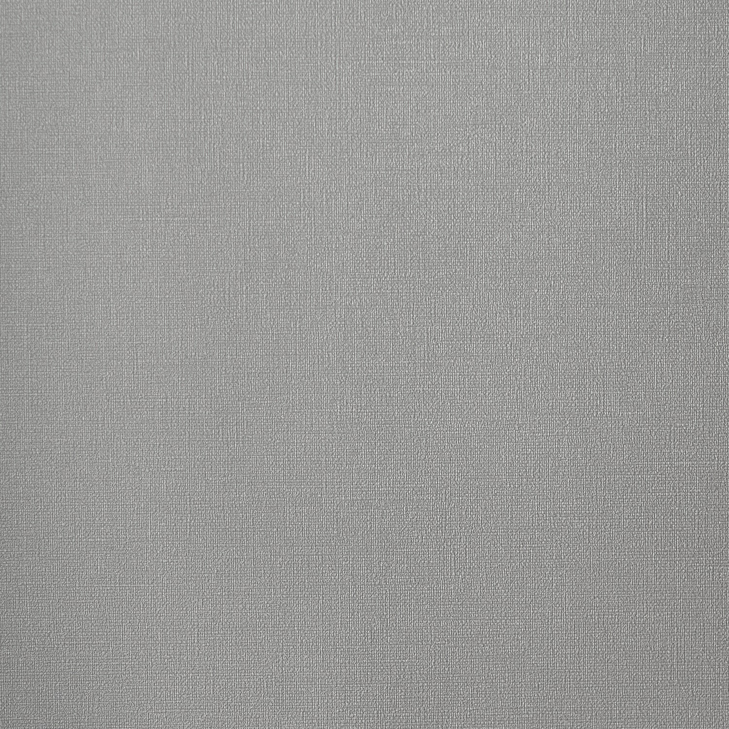 54463-10_Palmaria 54463-10_Palmaria