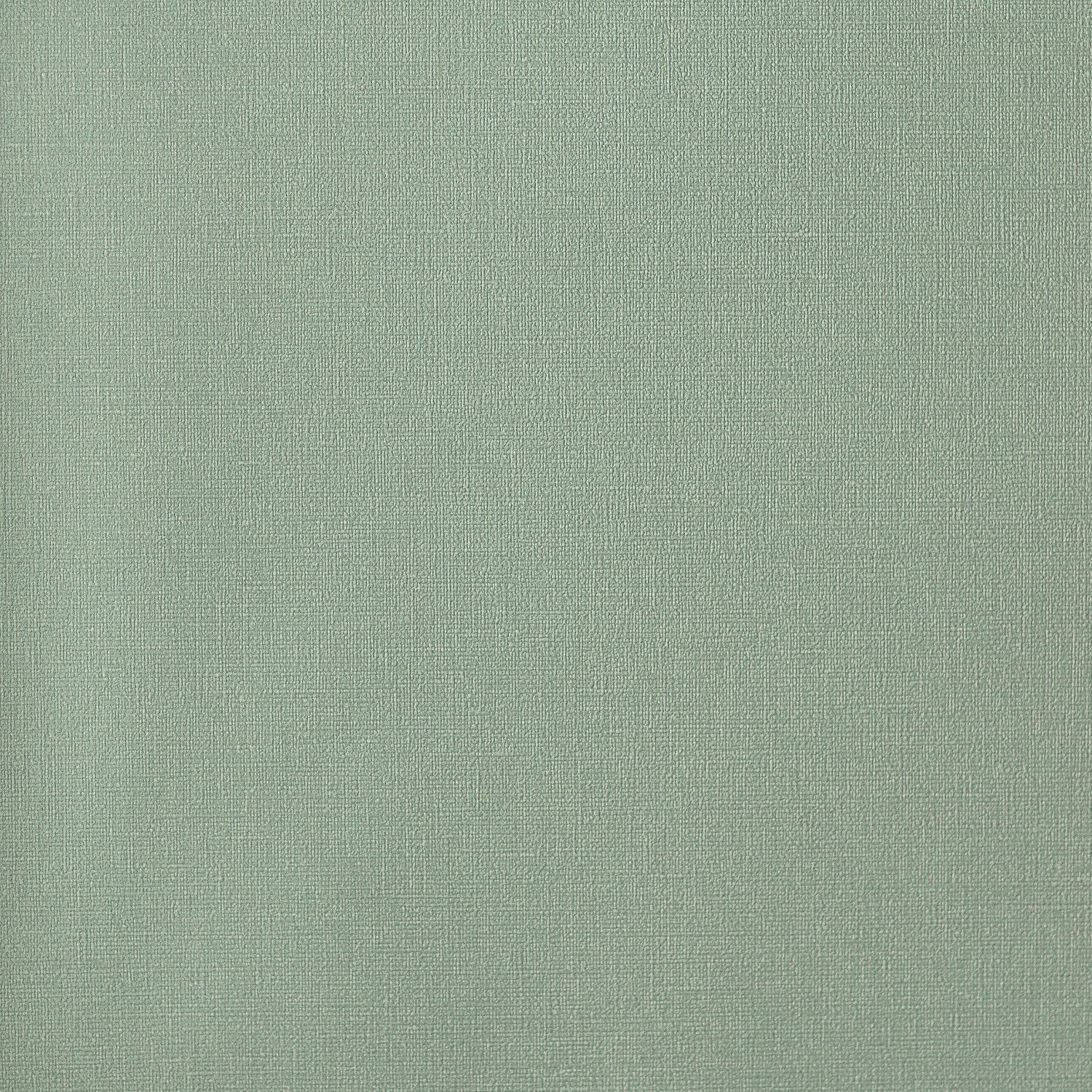 54463-11_Palmaria 54463-11_Palmaria