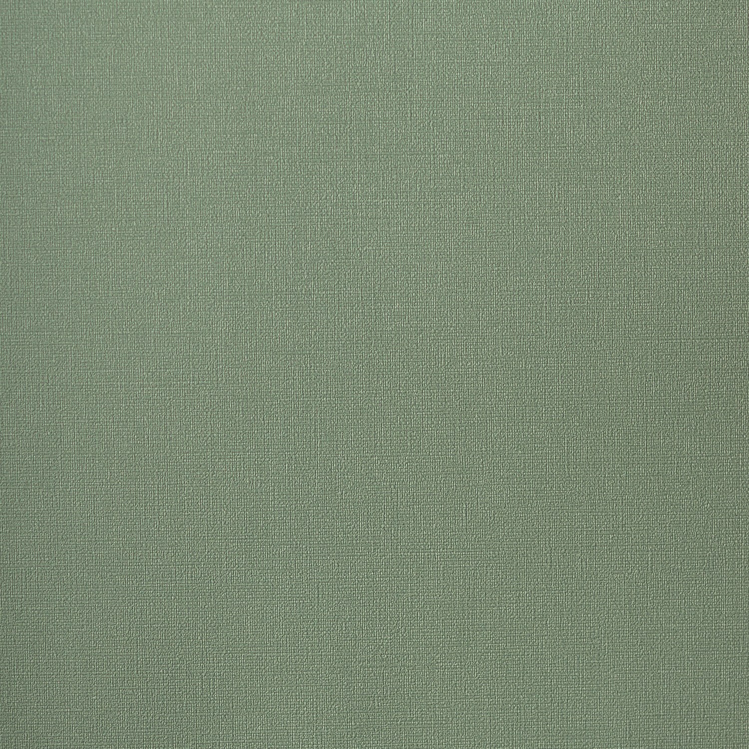 54463-12_Palmaria 54463-12_Palmaria