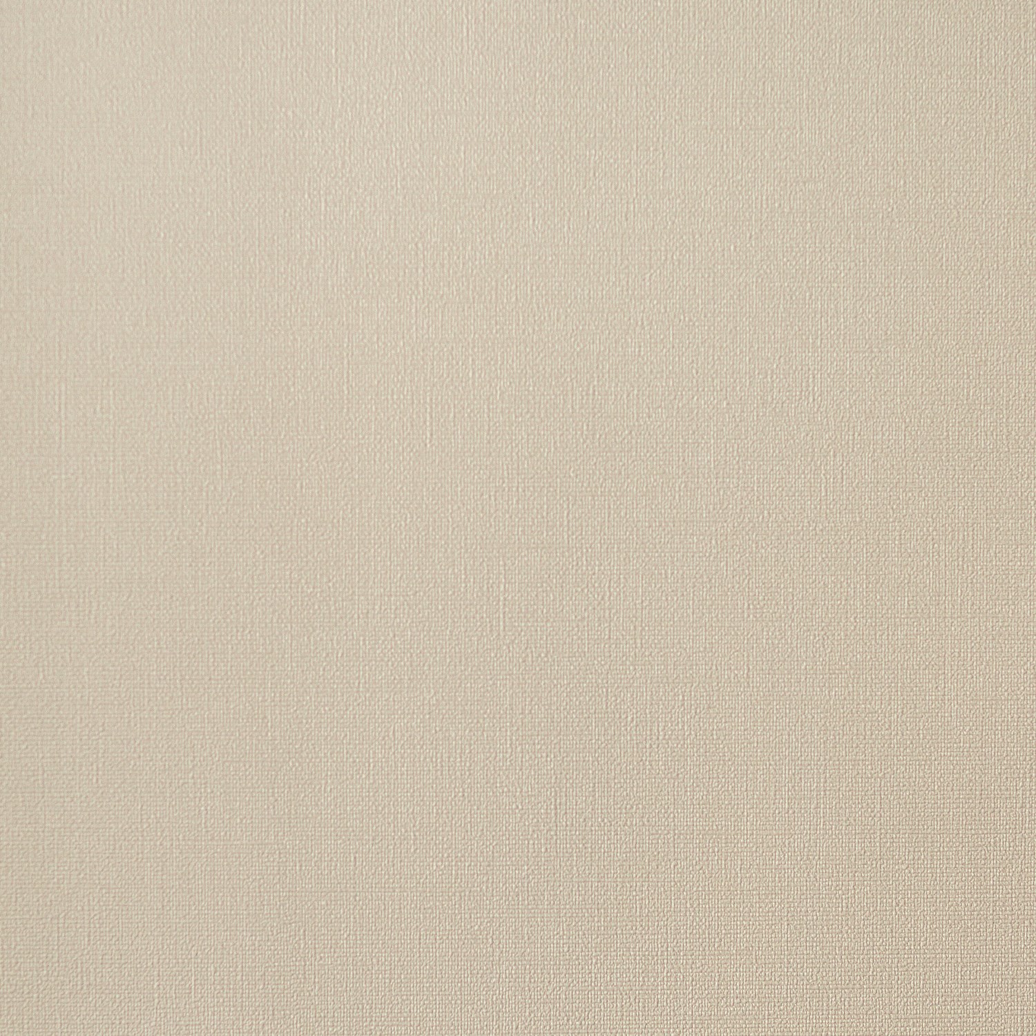 54463-3_Palmaria 54463-3_Palmaria