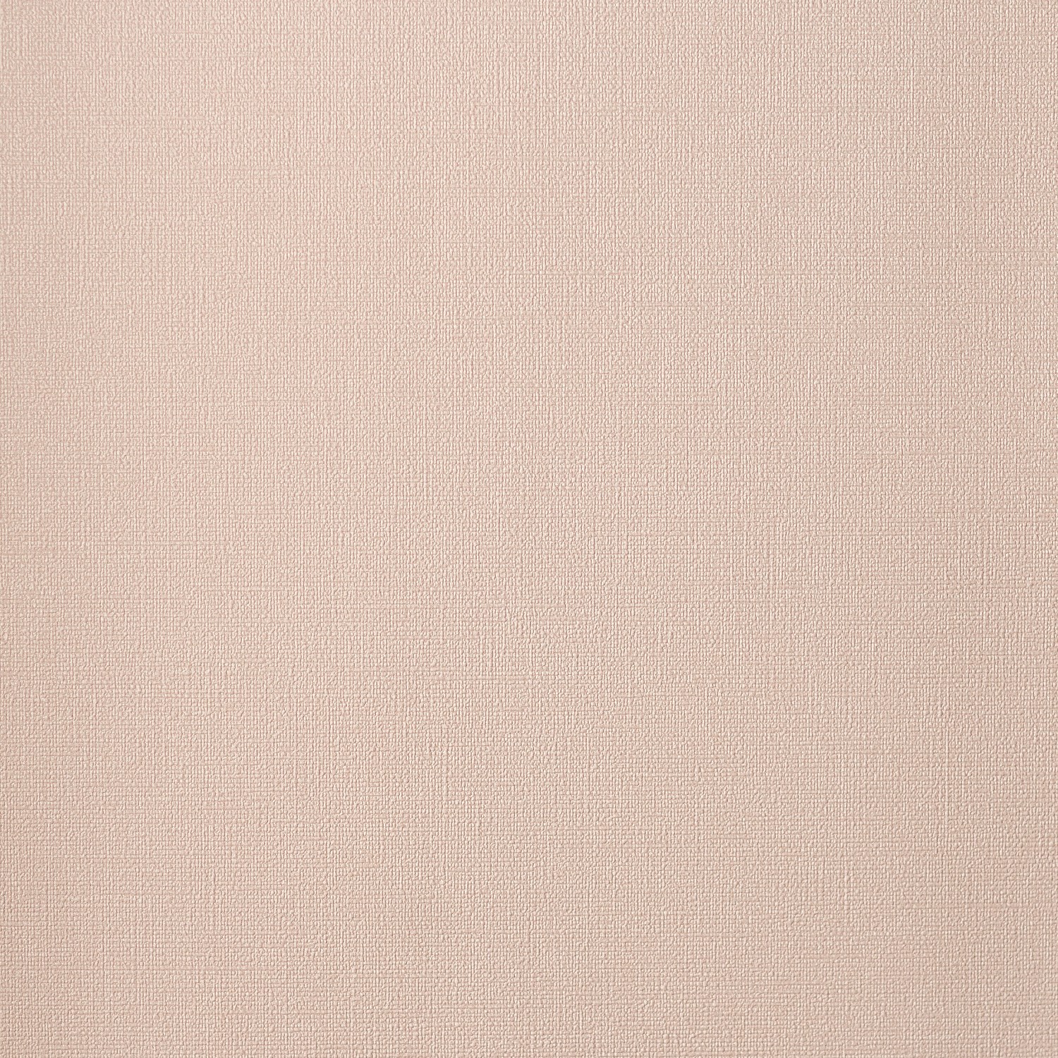 54463-4_Palmaria 54463-4_Palmaria