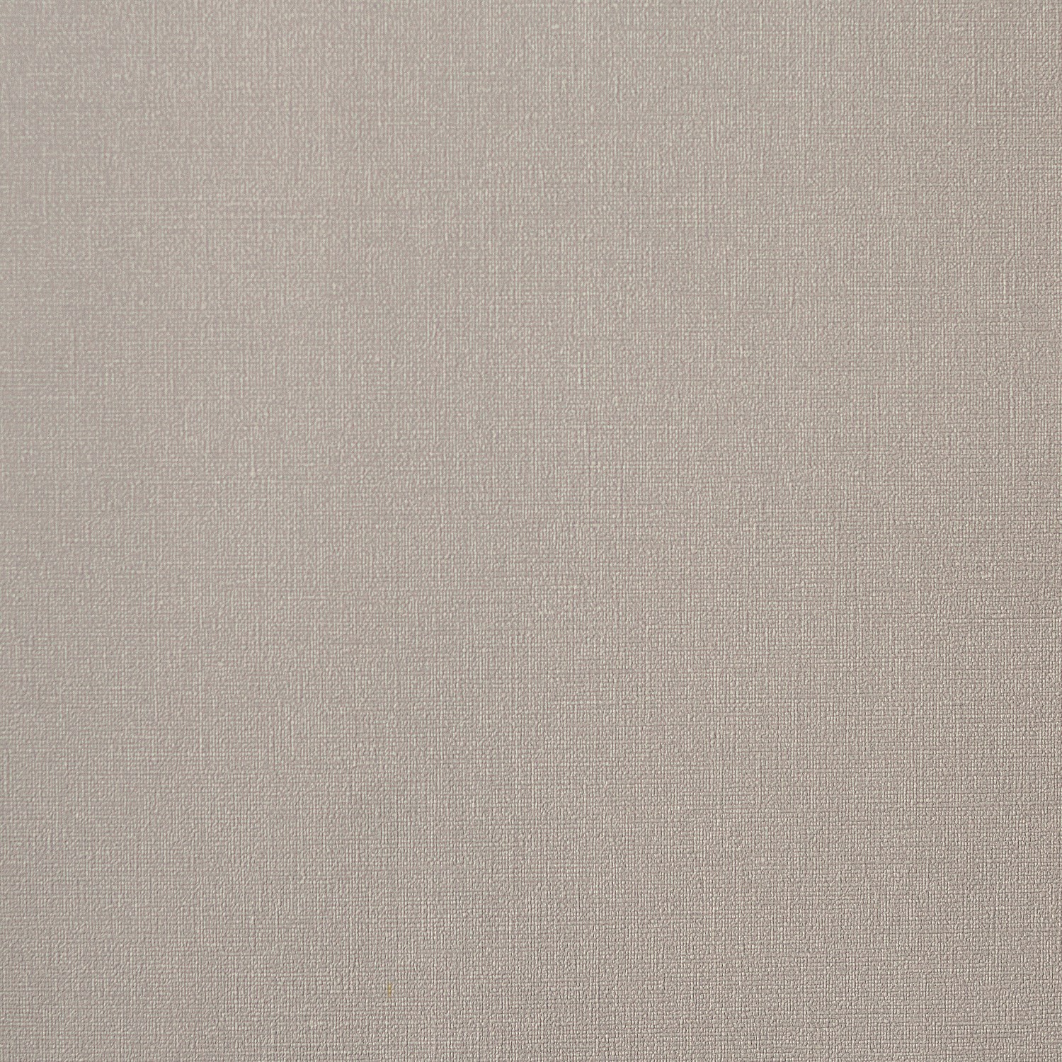 54463-9_Palmaria 54463-9_Palmaria