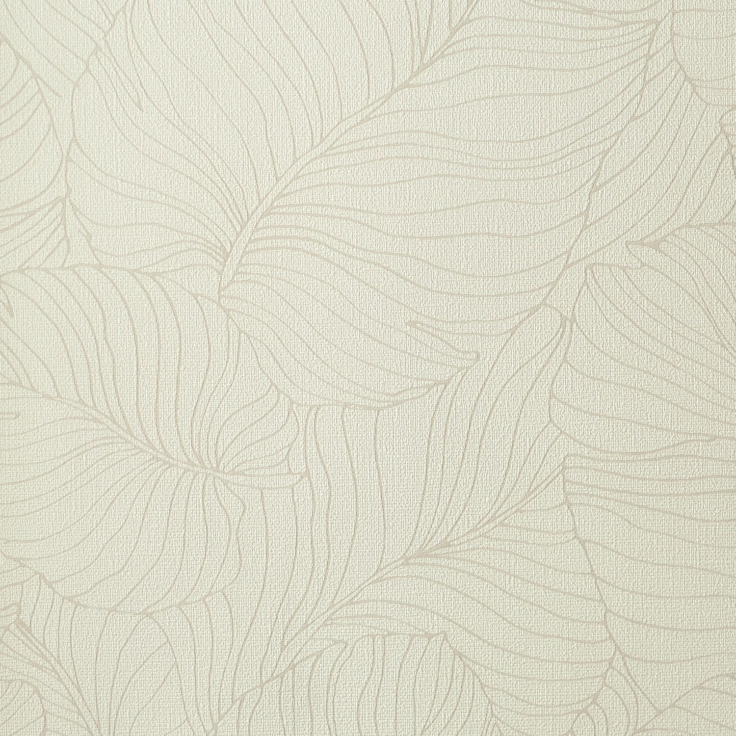 54464-1_Palmaria 54464-1_Palmaria