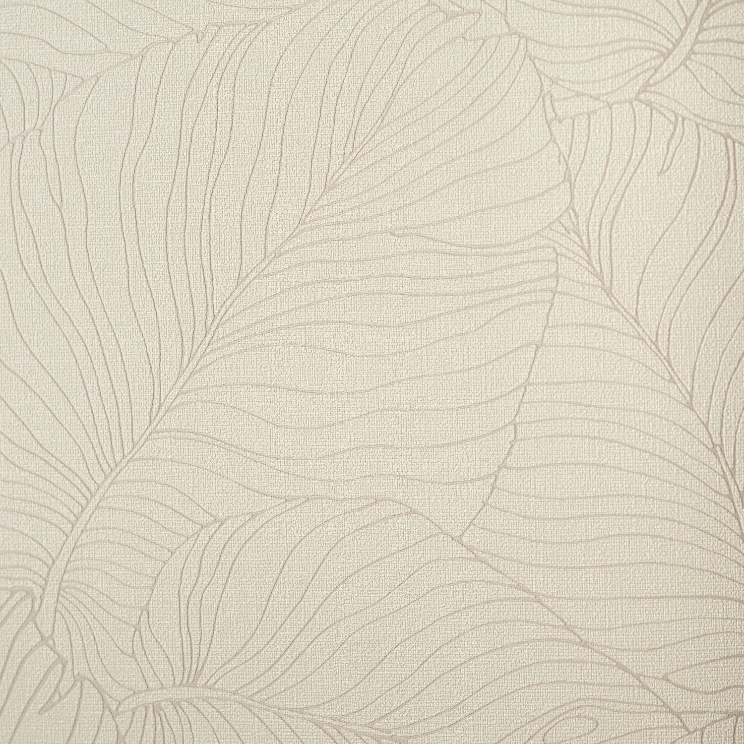 54464-2_Palmaria 54464-2_Palmaria