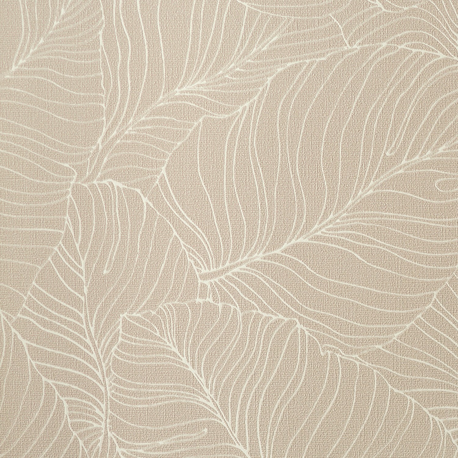 54464-3_Palmaria 54464-3_Palmaria