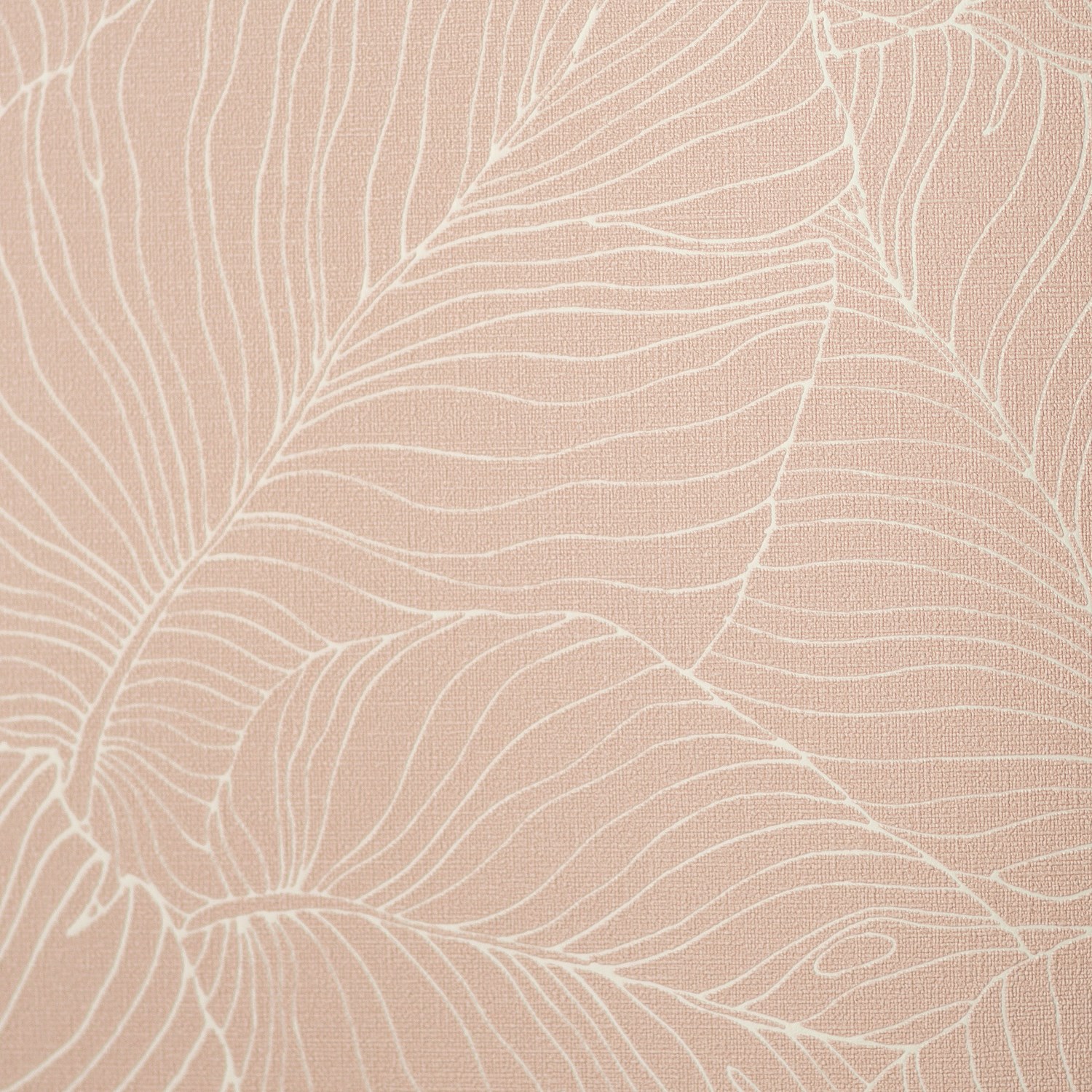 54464-4_Palmaria 54464-4_Palmaria