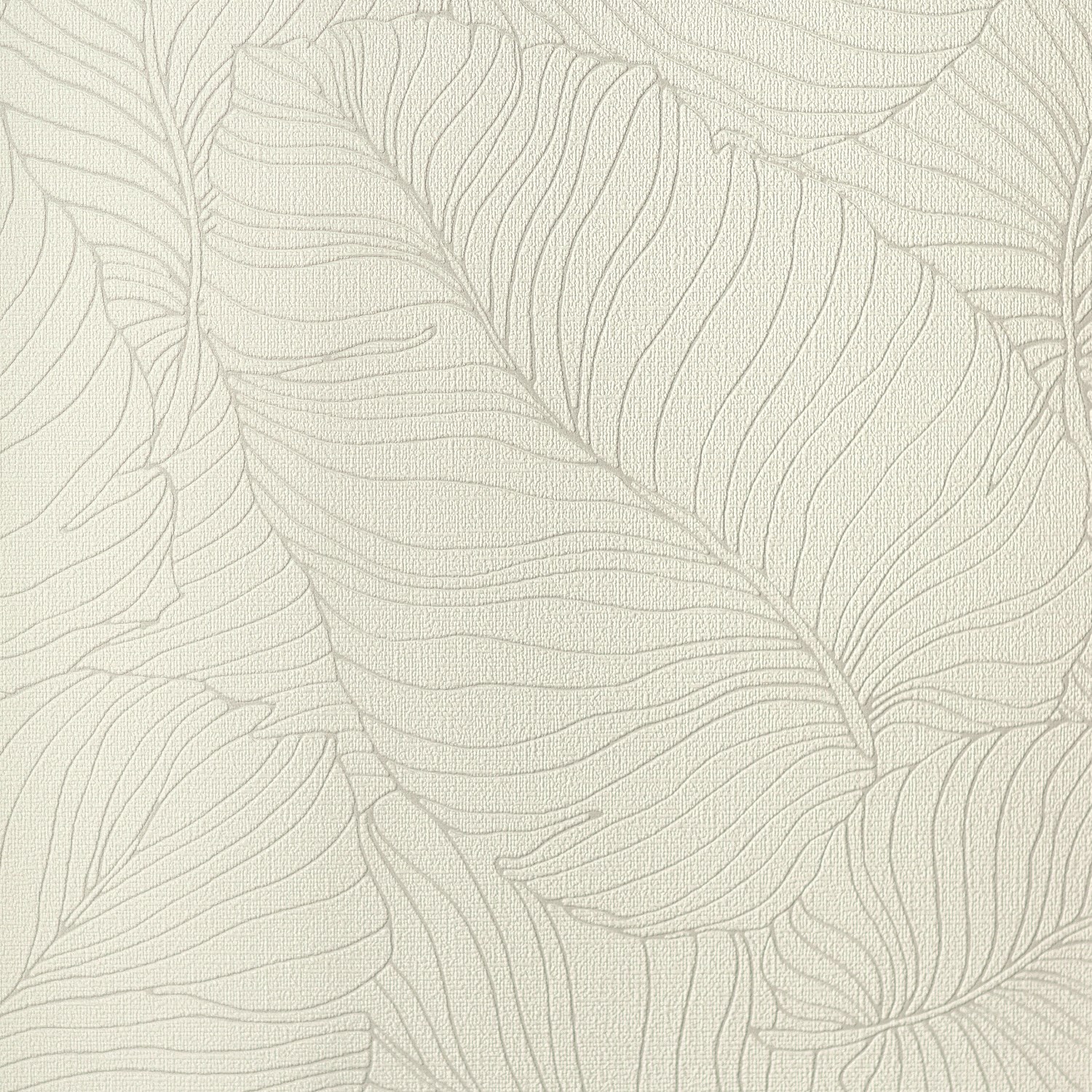 54464-5_Palmaria 54464-5_Palmaria