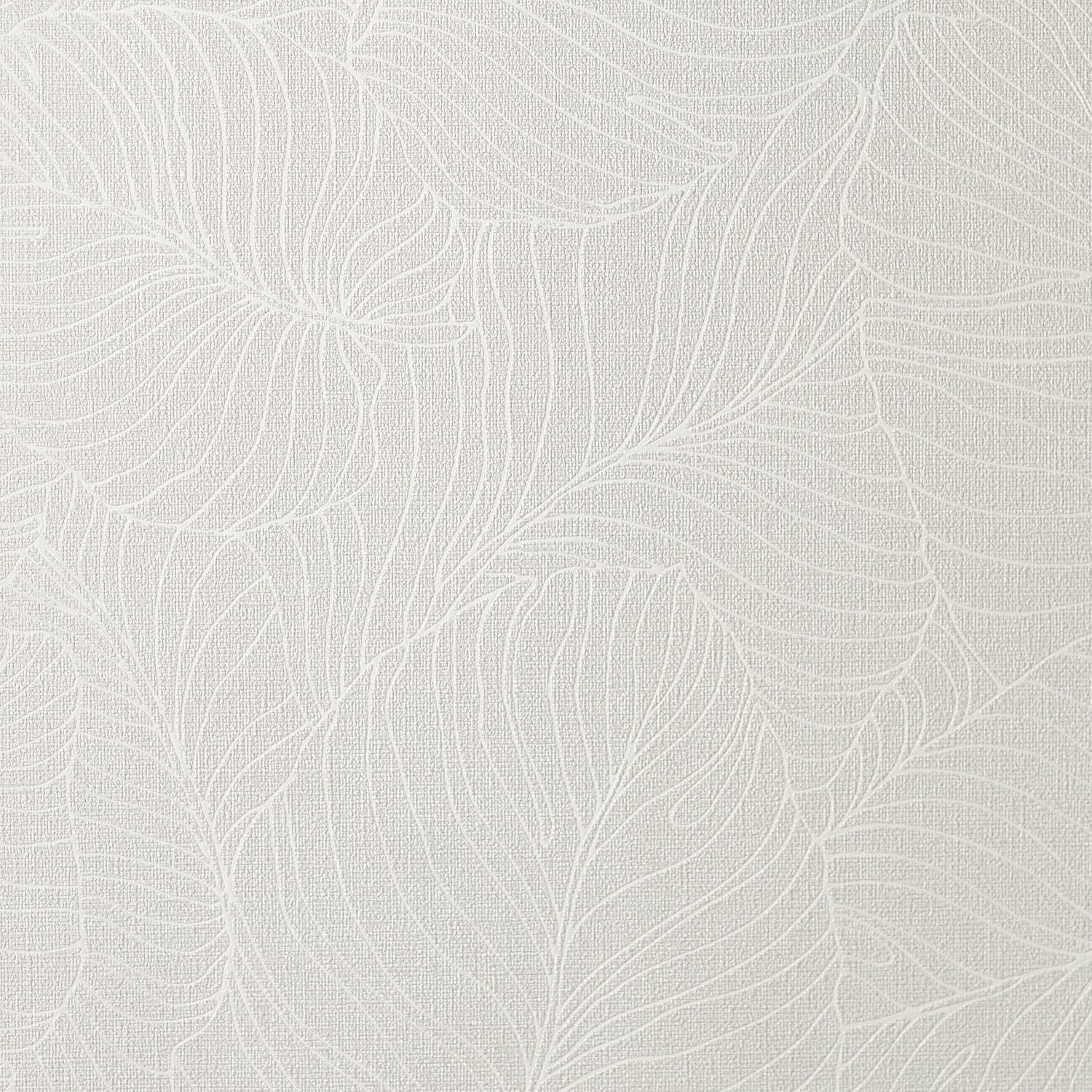 54464-6_Palmaria 54464-6_Palmaria