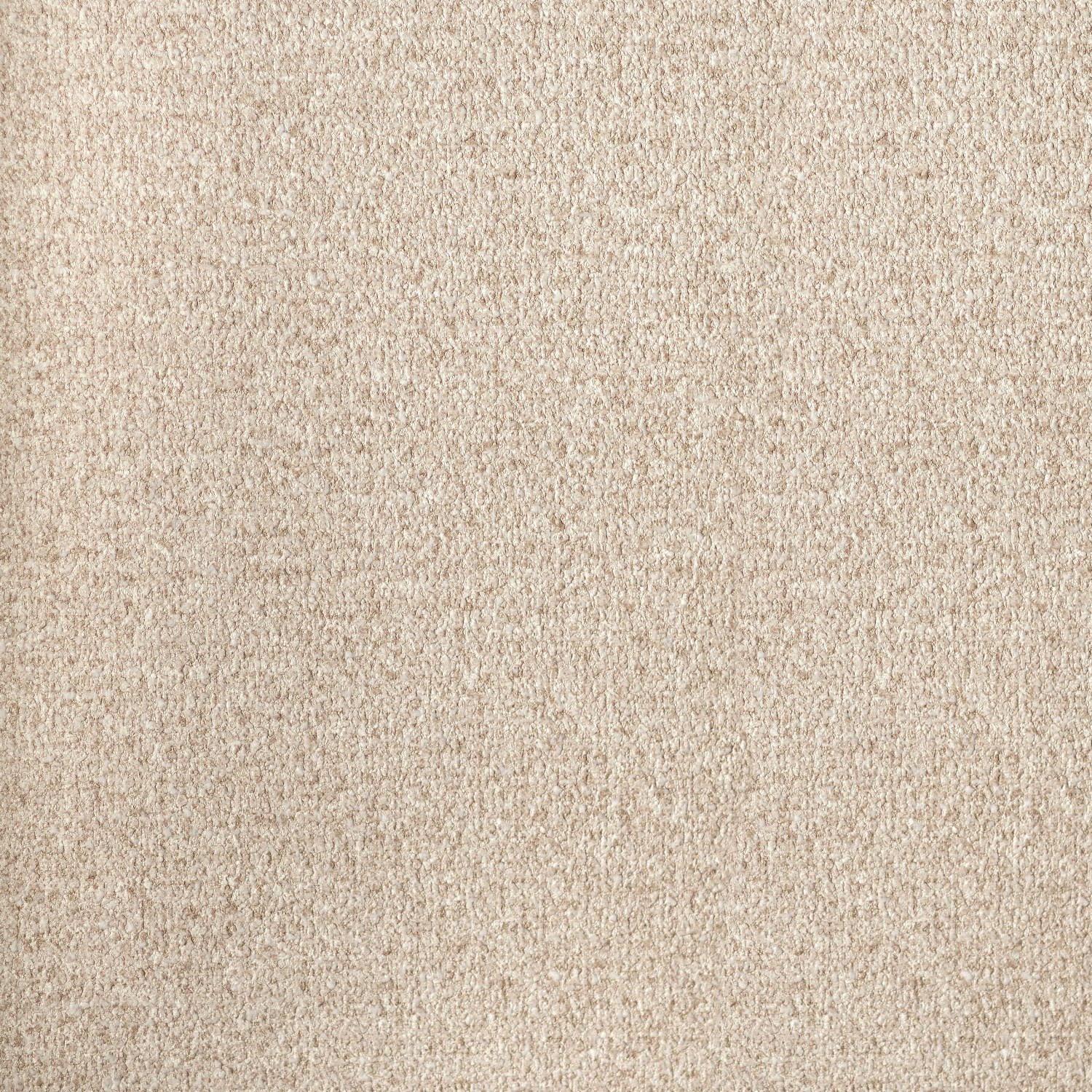 54465-5_Palmaria 54465-5_Palmaria