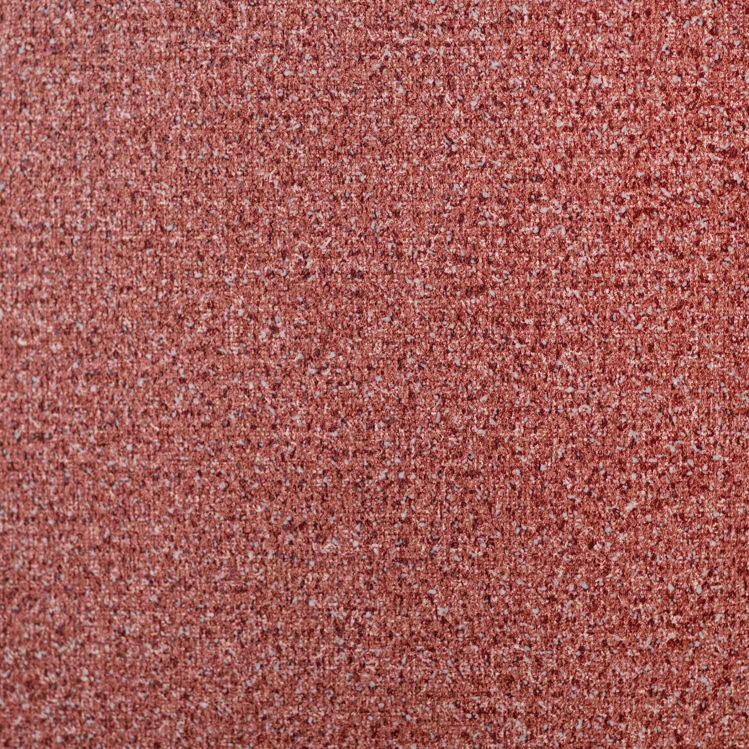 54465-9_Palmaria 54465-9_Palmaria