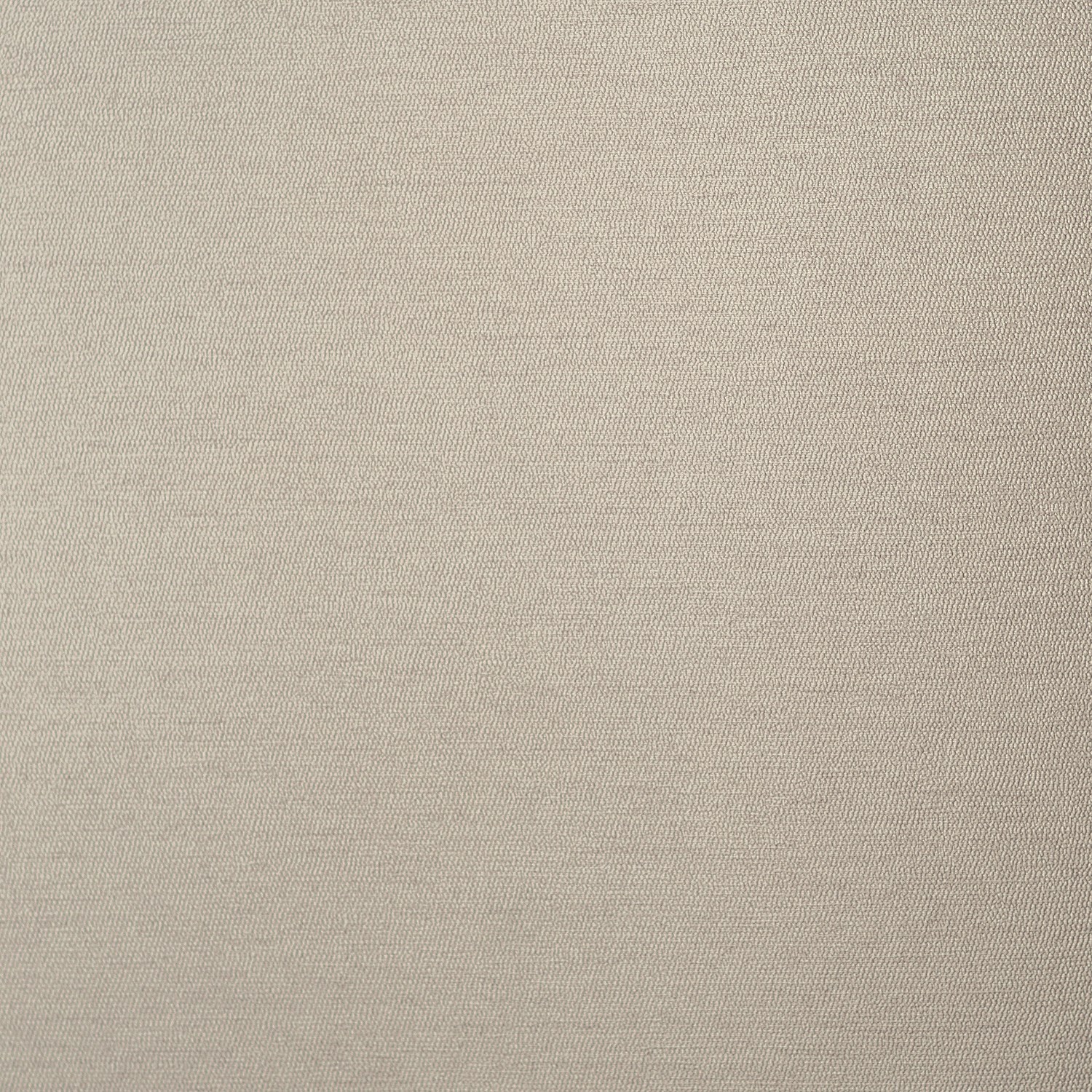 54467-7_Palmaria 54467-7_Palmaria