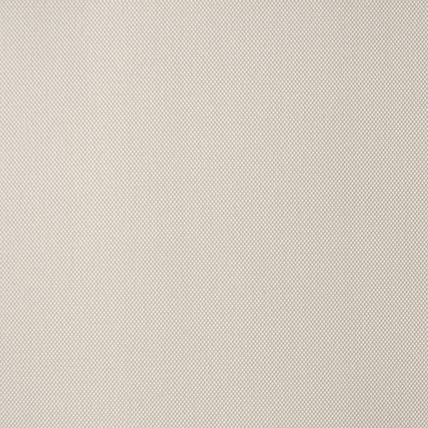 54469-13_Palmaria 54469-13_Palmaria