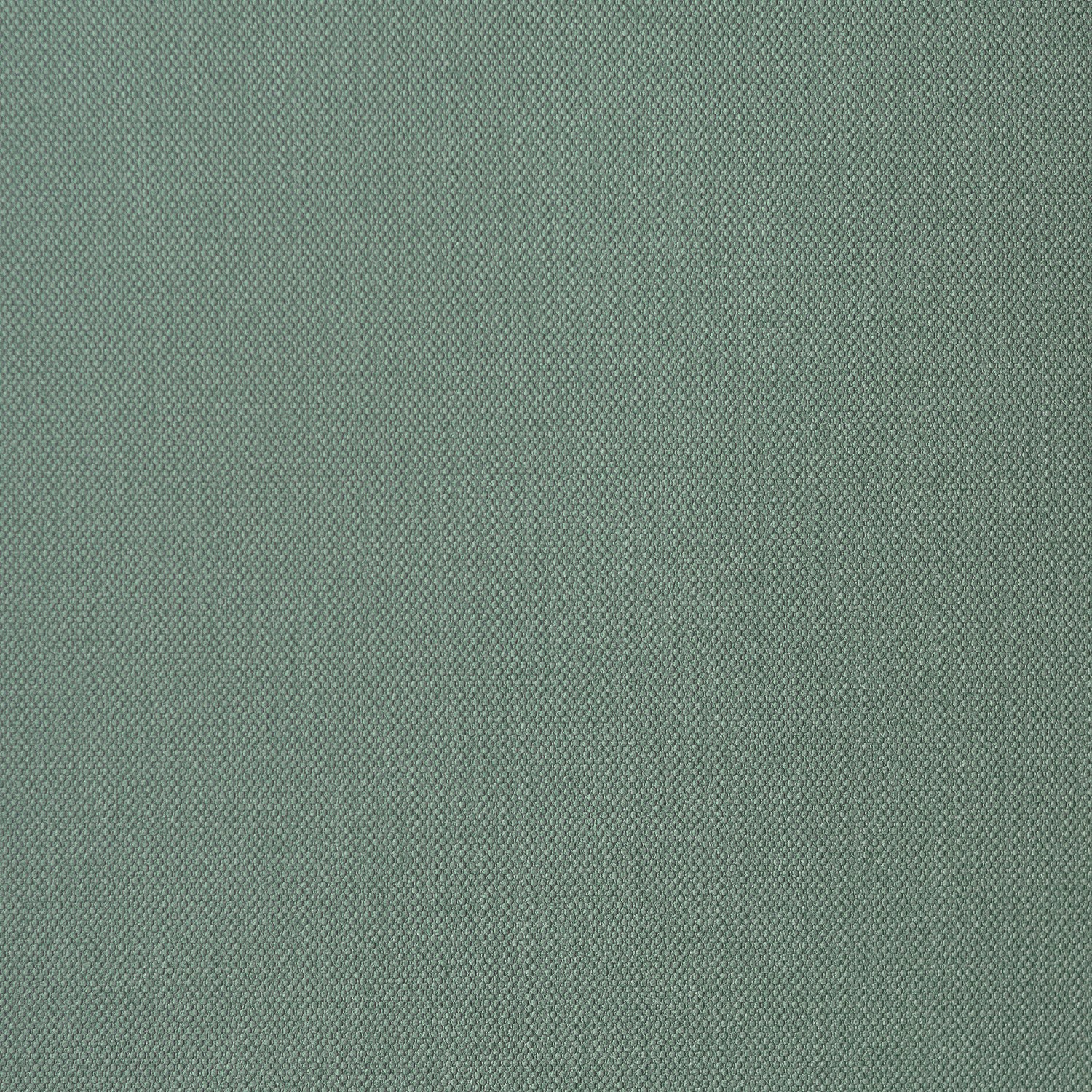 54469-14_Palmaria 54469-14_Palmaria