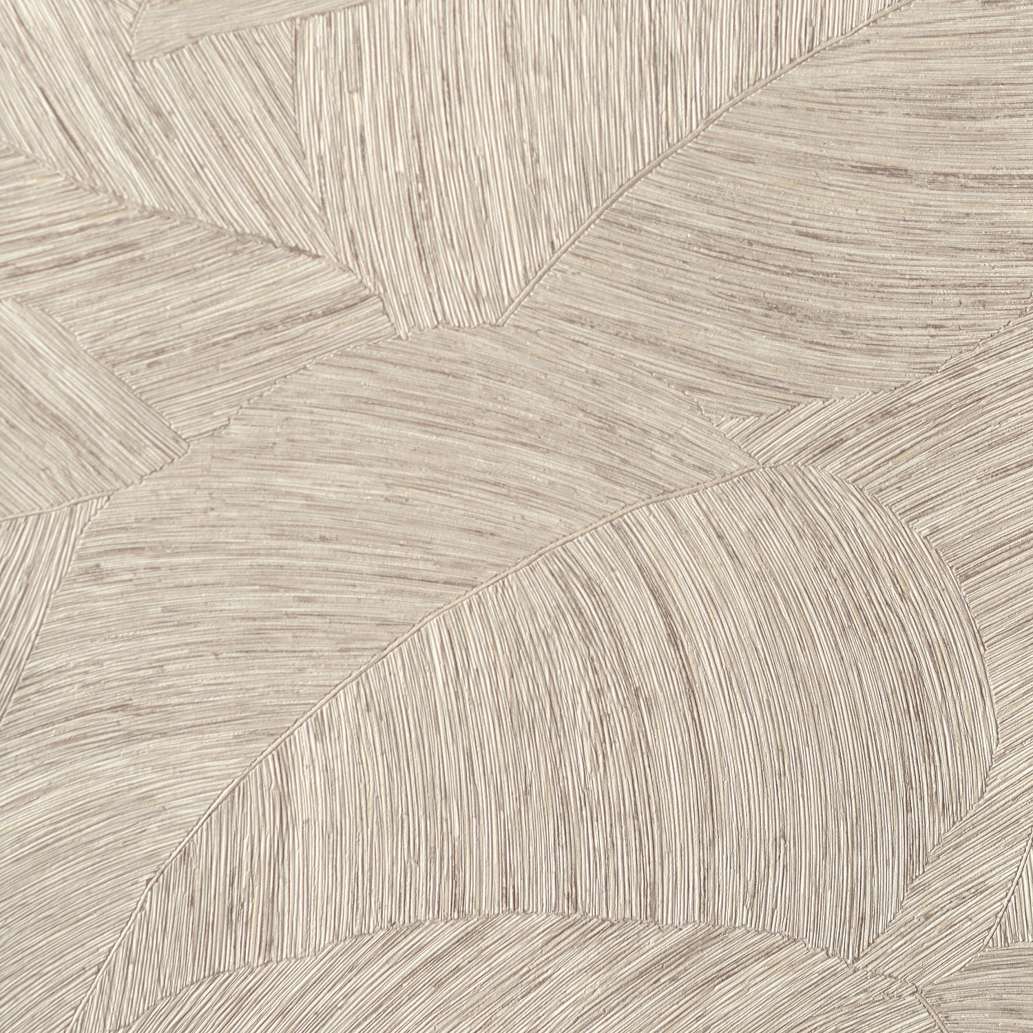 54471-5_Palmaria 54471-5_Palmaria