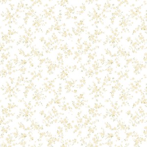 54489-1_Bocca