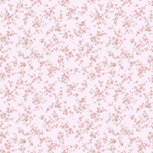 54489-3_Bocca