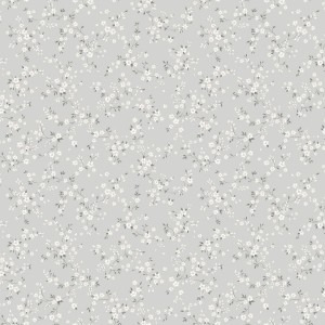 54489-5_Bocca