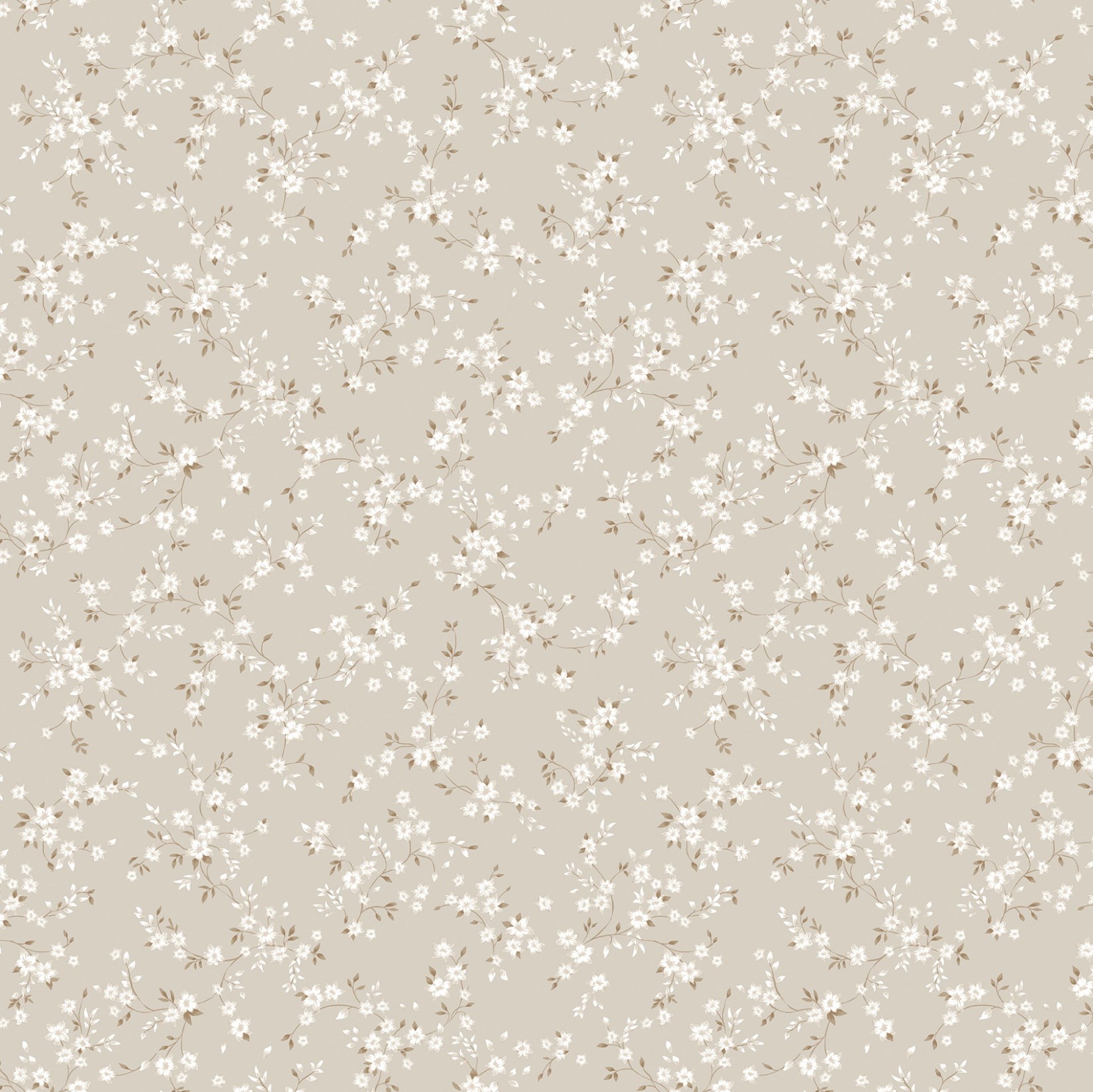 54489-6_Bocca 54489-6_Bocca