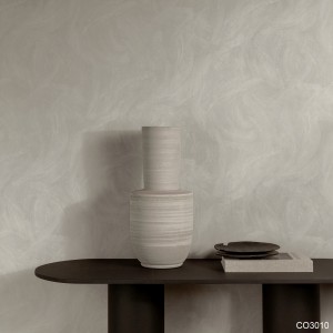 CO3010_room