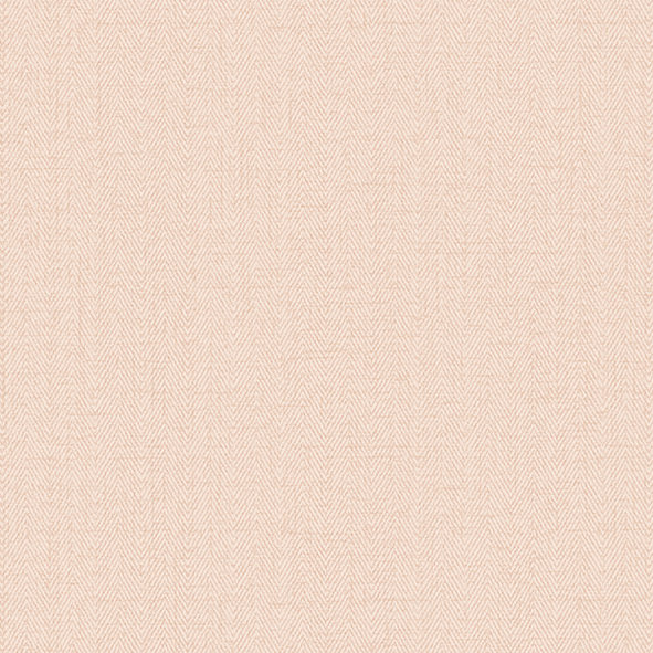 RBN1002-13 RBN1002-13