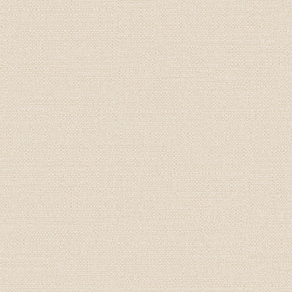 RBN1003-6 RBN1003-6