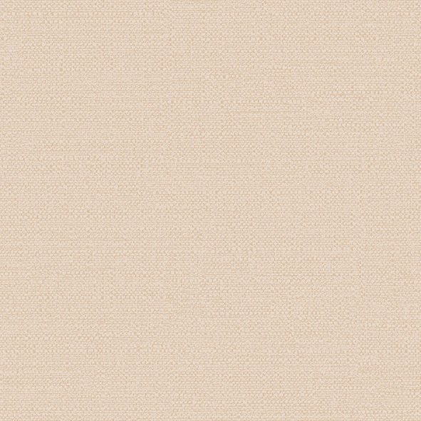 RBN1003-8 RBN1003-8