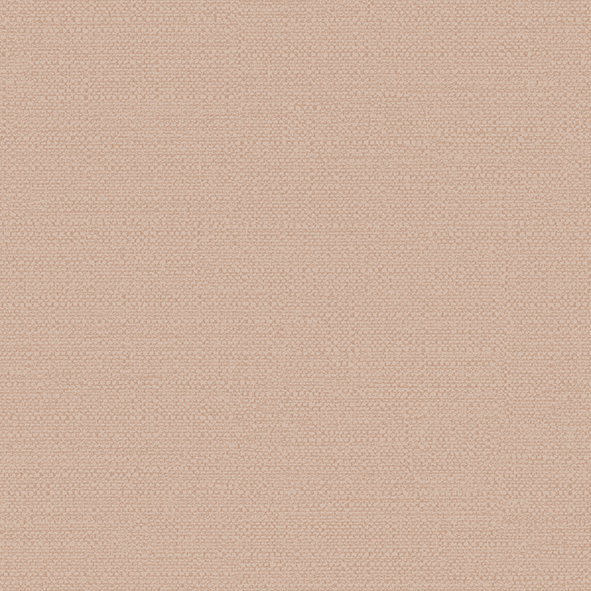 RBN1003-9 RBN1003-9