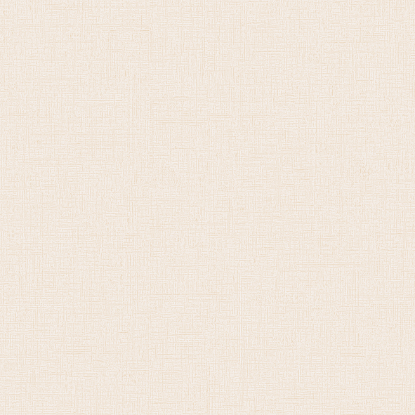 RBN1004-7 RBN1004-7